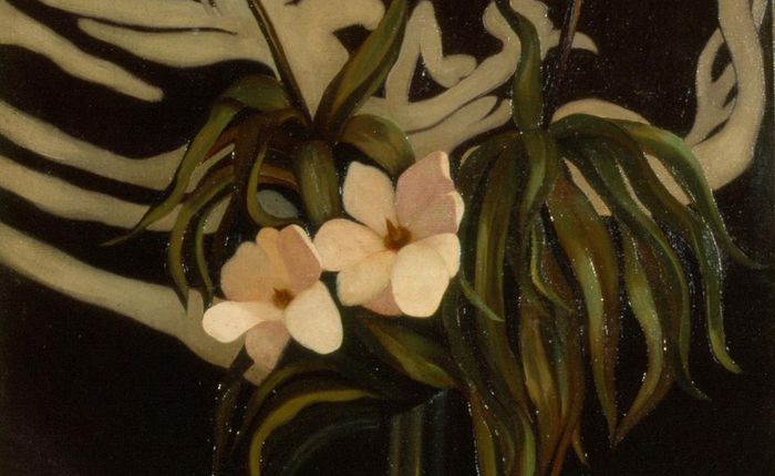 Fritillaires et magnolias