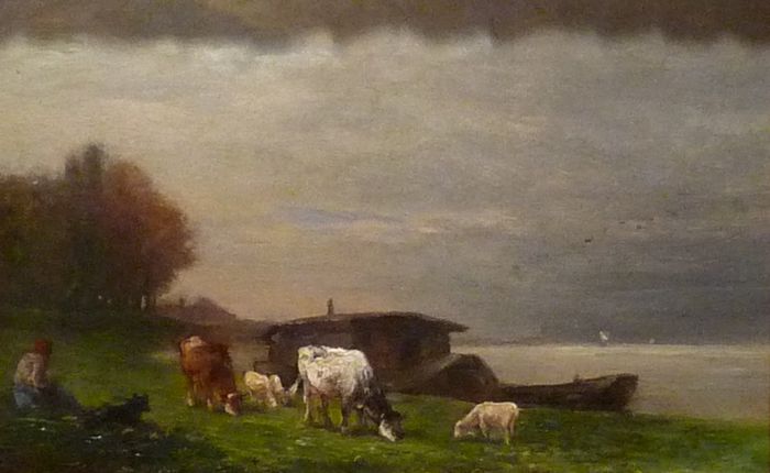 Vaches et moutons pâturant au bord d'une fleuve